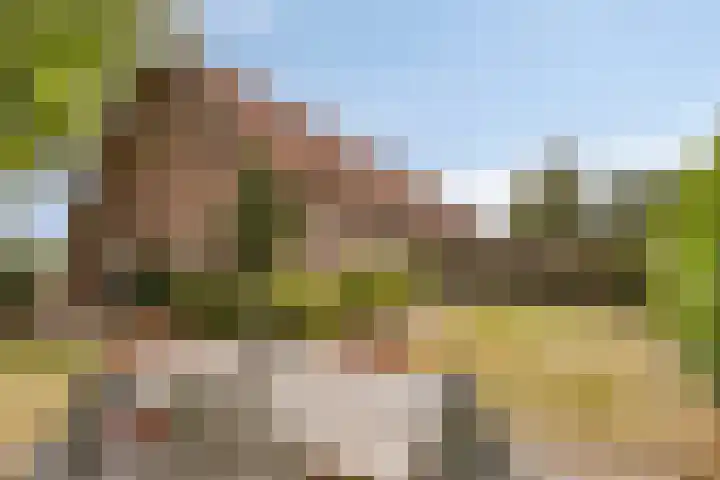 Broekstraat 79 Mierlo thumbnail 80