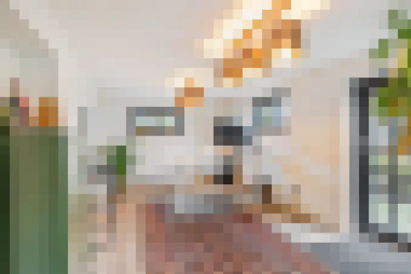 Broekstraat 8 Geffen thumbnail 4
