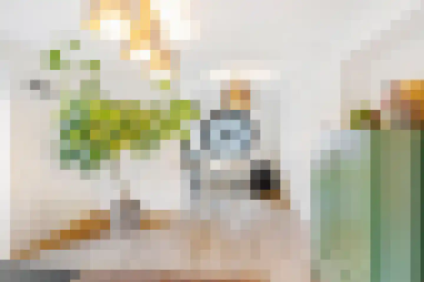 Broekstraat 8 Geffen thumbnail 42