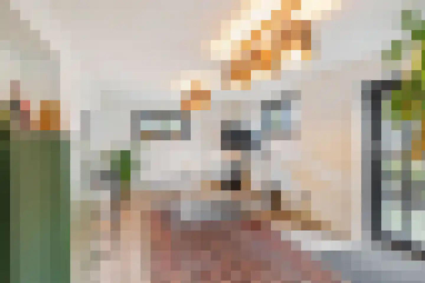 Broekstraat 8 Geffen thumbnail 43