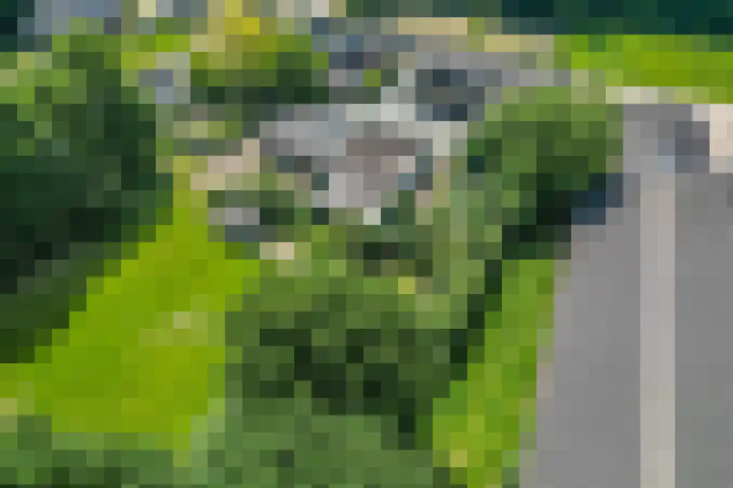 Broekstraat 8 Geffen thumbnail 56