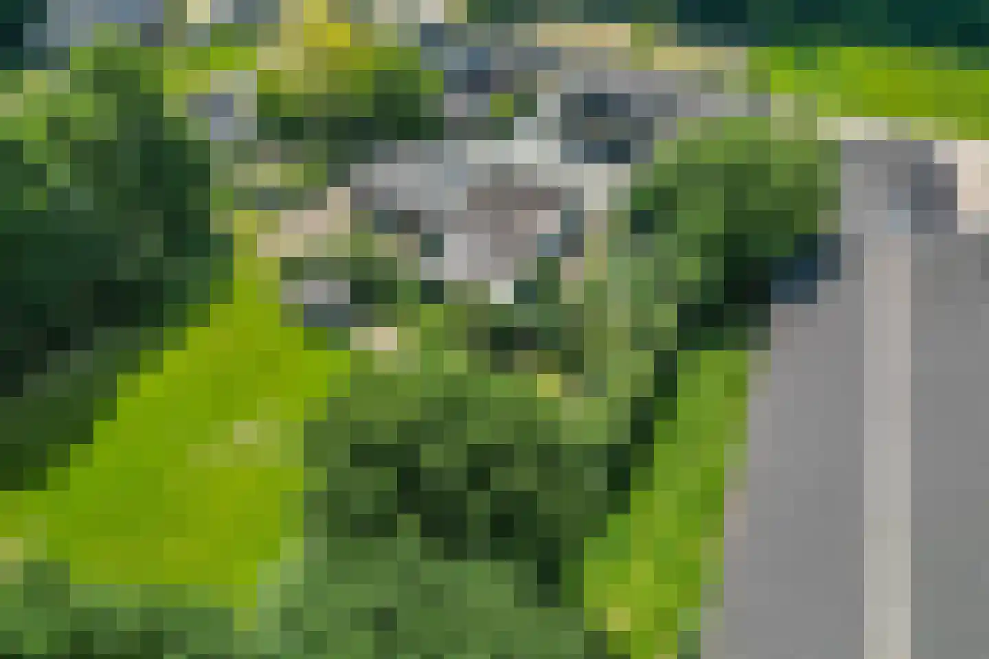 Broekstraat 8 Geffen thumbnail 56