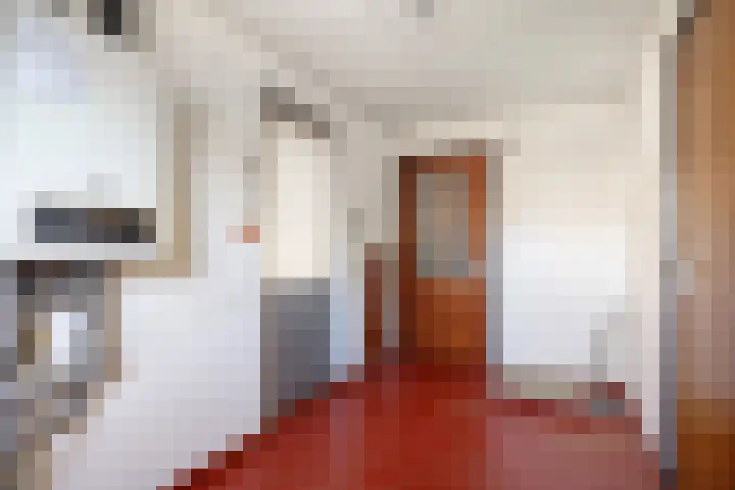 Broekstraat 9 Maasbracht thumbnail 30