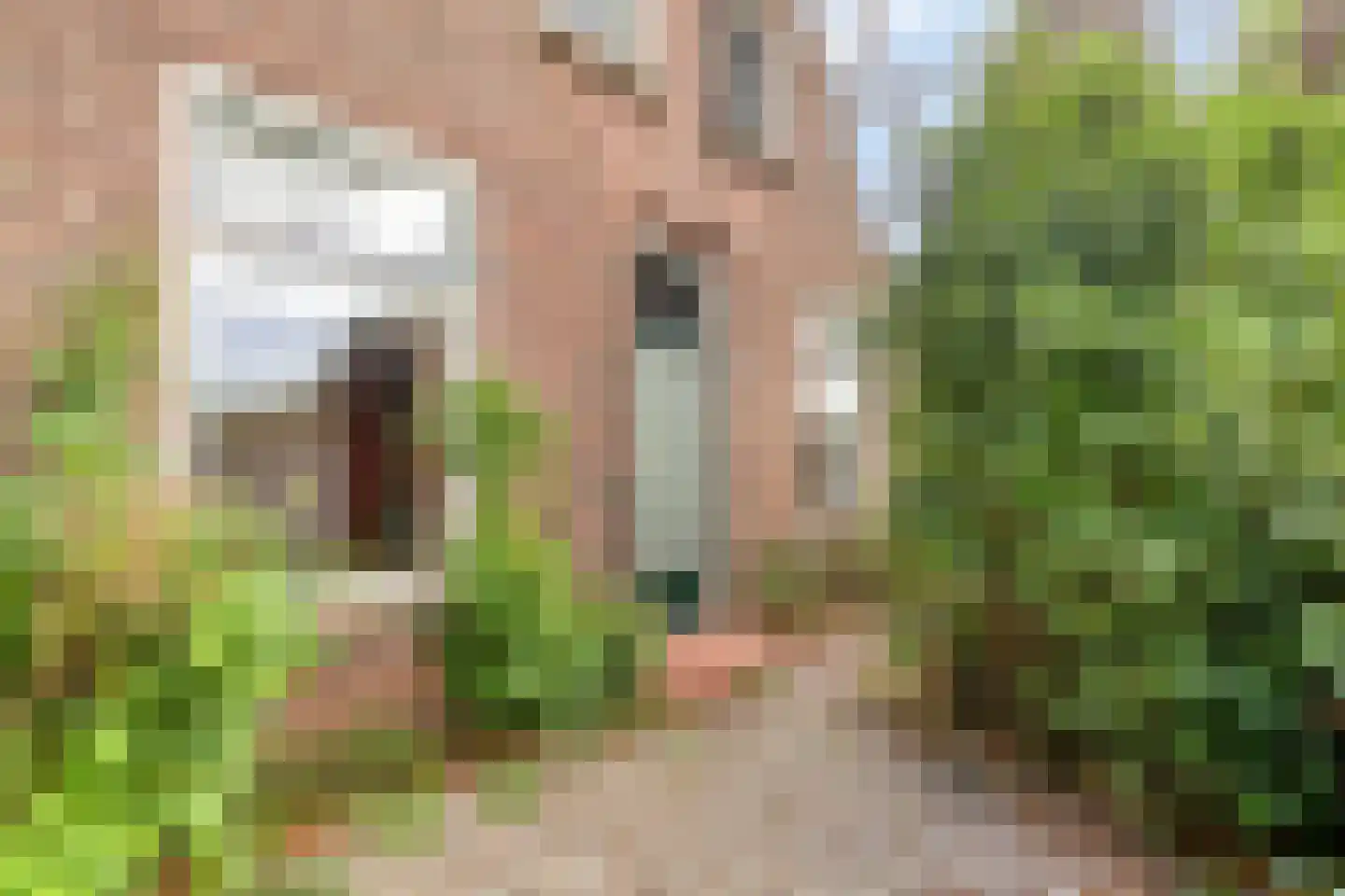Broekstraat 9 Ven-Zelderheide thumbnail 10
