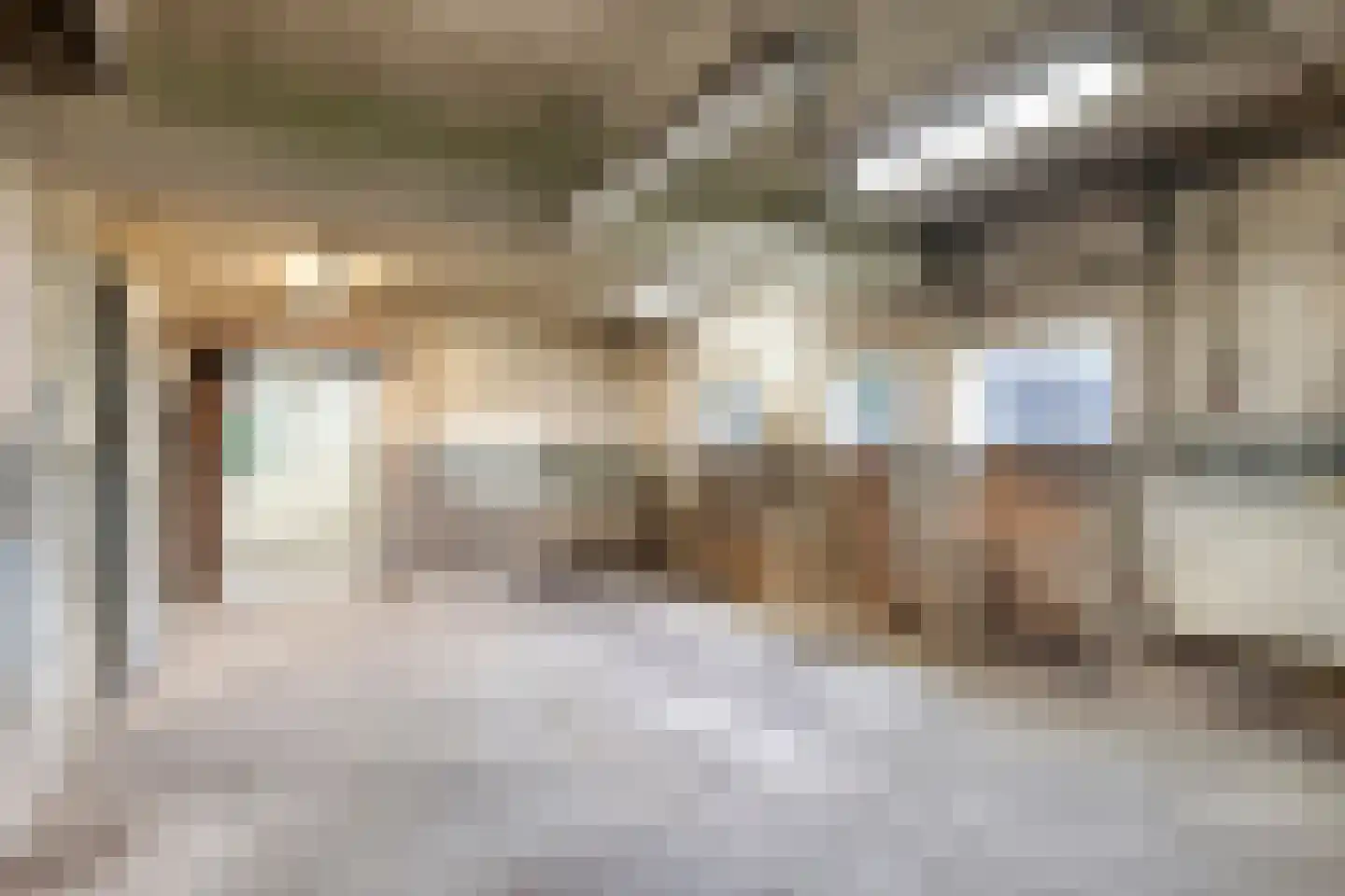 Broekstraat 9 Ven-Zelderheide thumbnail 34