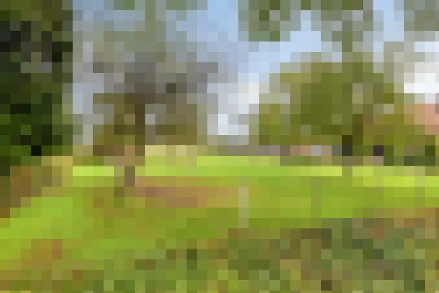 Broekstraat 9 Ven-Zelderheide thumbnail 4