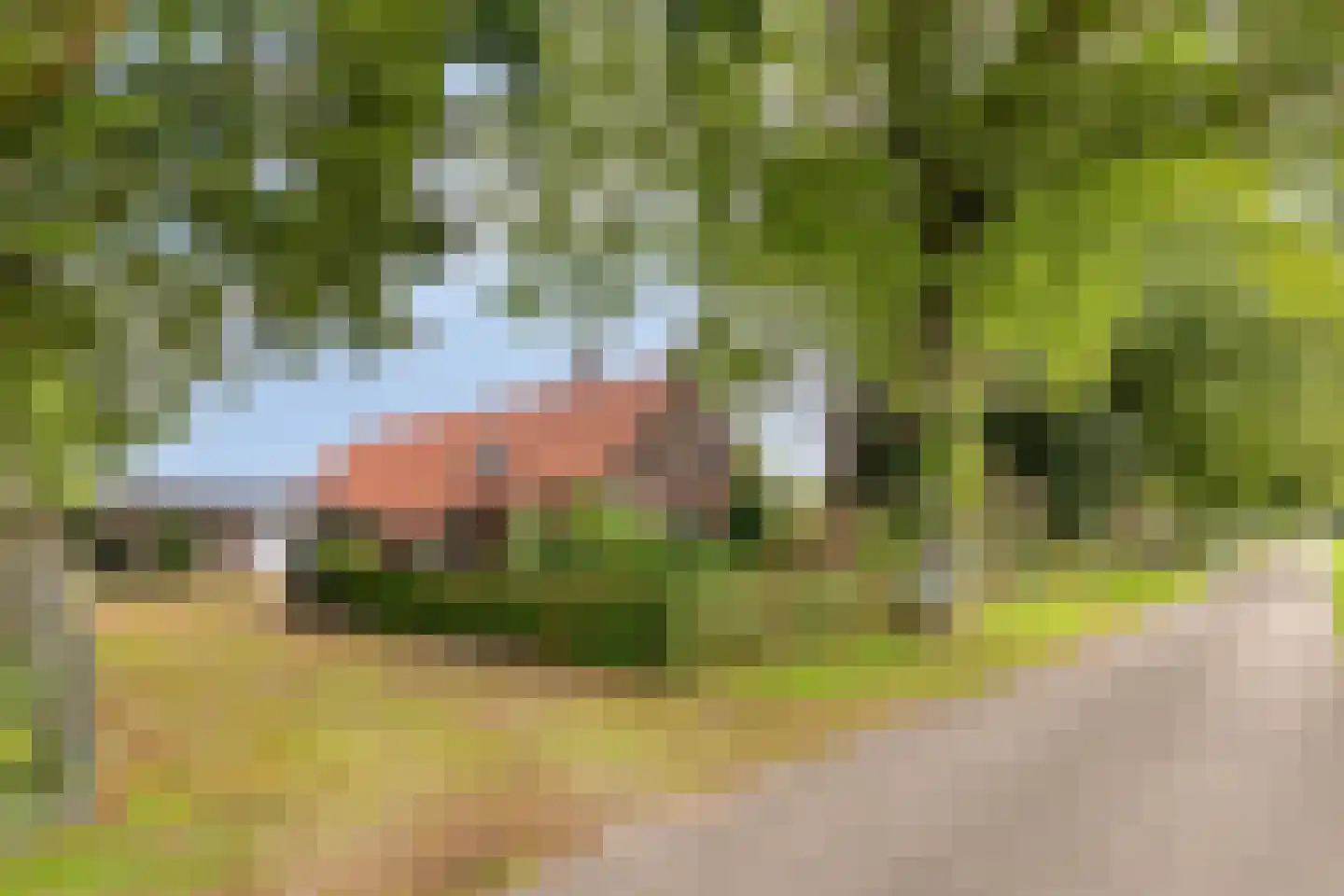 Broekstraat 9 Ven-Zelderheide thumbnail 41