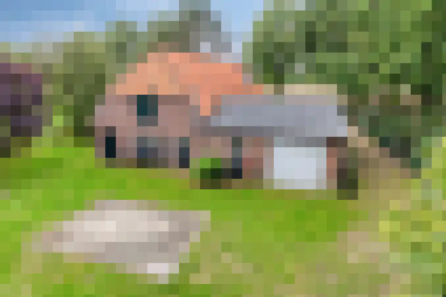 Broekstraat 9 Ven-Zelderheide thumbnail 42