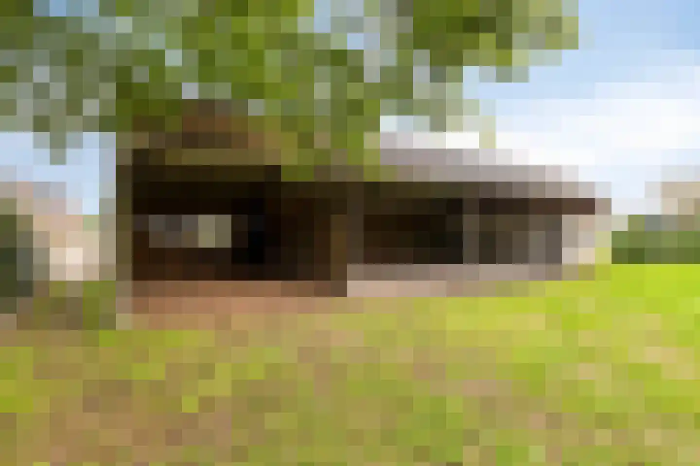 Broekstraat 9 Ven-Zelderheide thumbnail 47