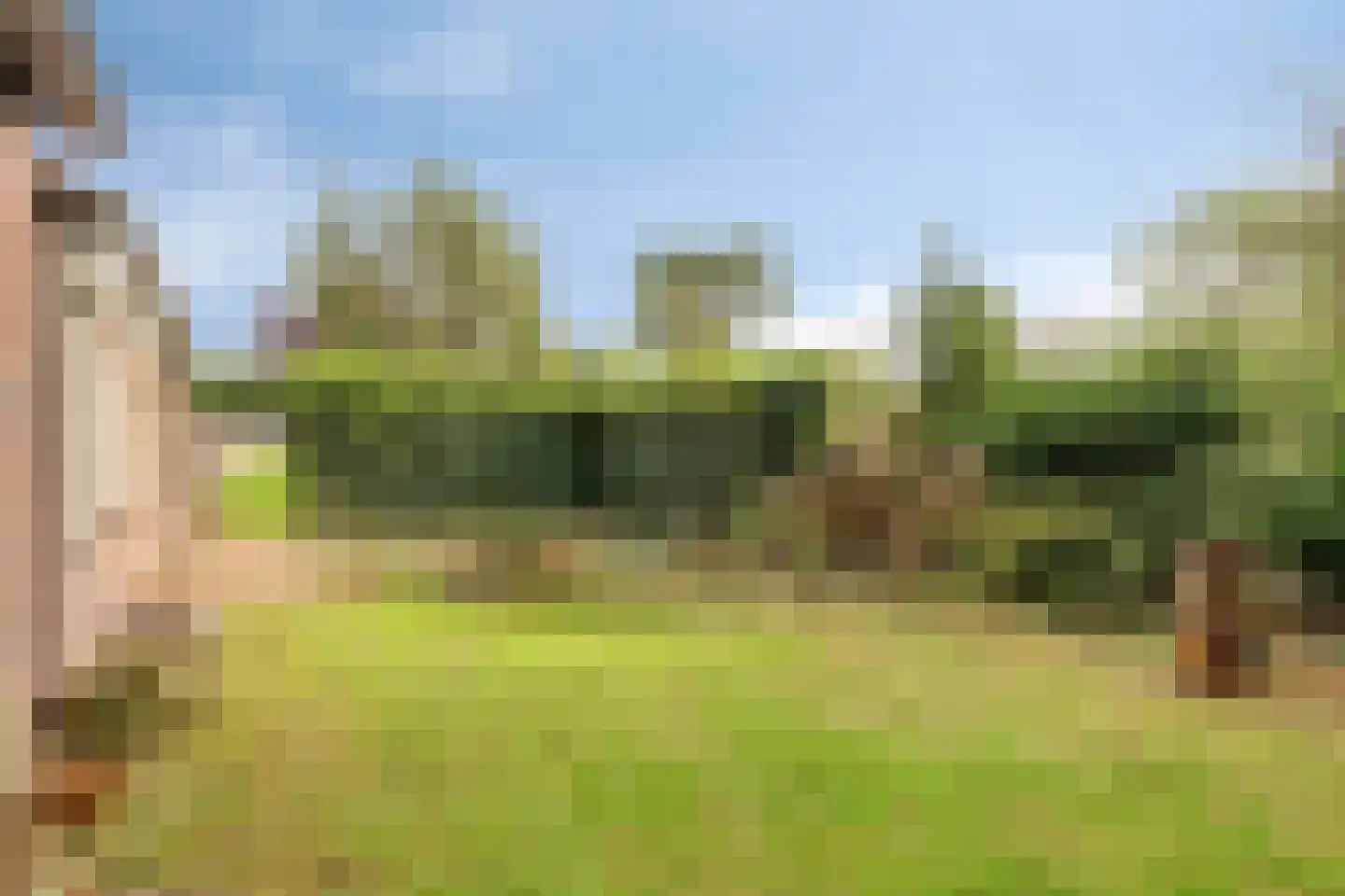 Broekstraat 9 Ven-Zelderheide thumbnail 53
