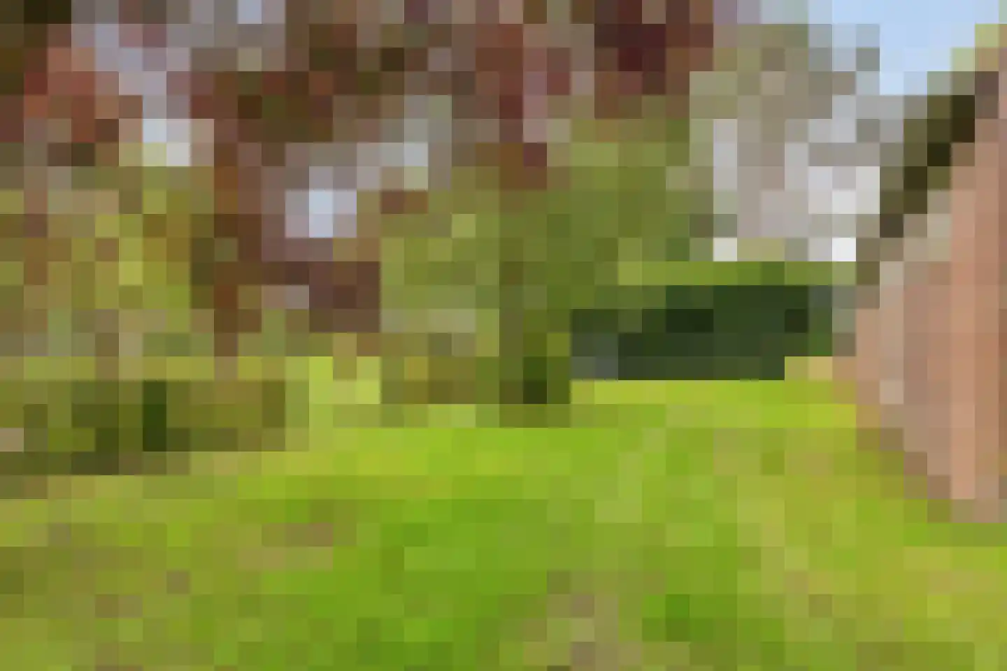 Broekstraat 9 Ven-Zelderheide thumbnail 54