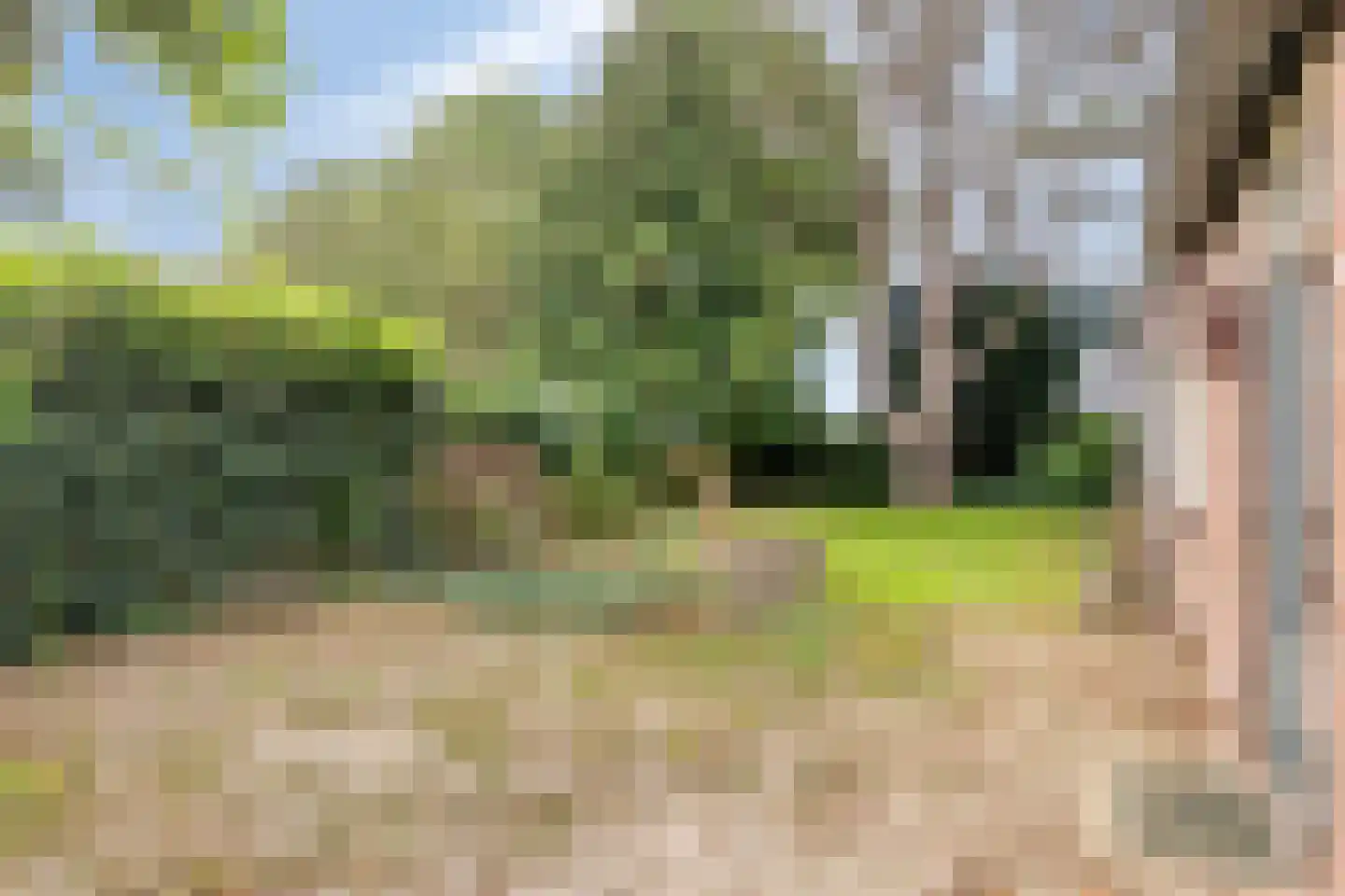 Broekstraat 9 Ven-Zelderheide thumbnail 55