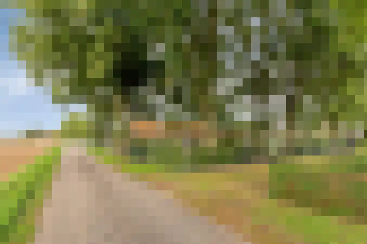 Broekstraat 9 Ven-Zelderheide thumbnail 57