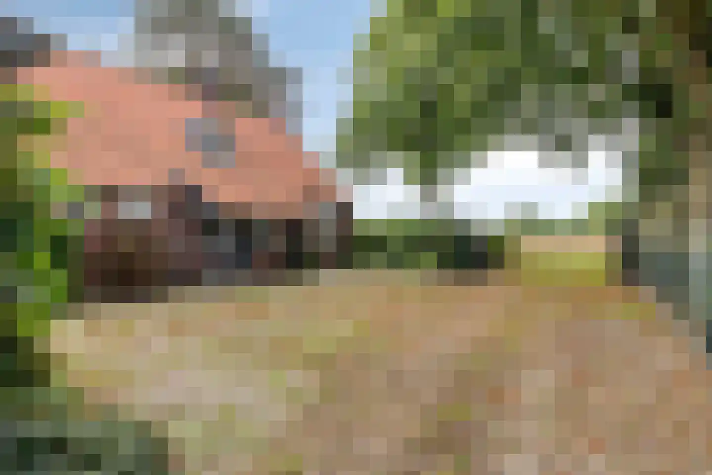 Broekstraat 9 Ven-Zelderheide thumbnail 9