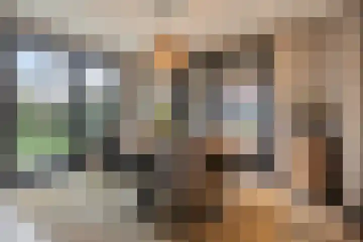 Broekstraat 99 Helmond thumbnail 13