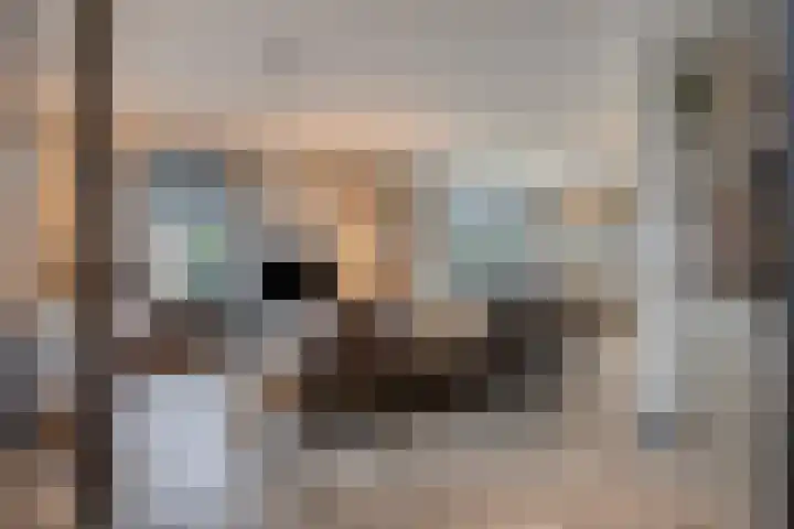 Broekstraat 99 Helmond thumbnail 6