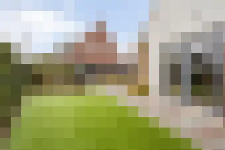 Broekstraat 99 Helmond thumbnail 61