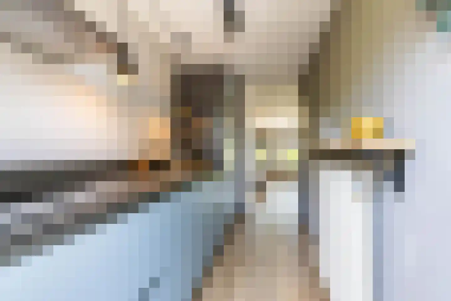 Broekstukken 51 Eelde thumbnail 24