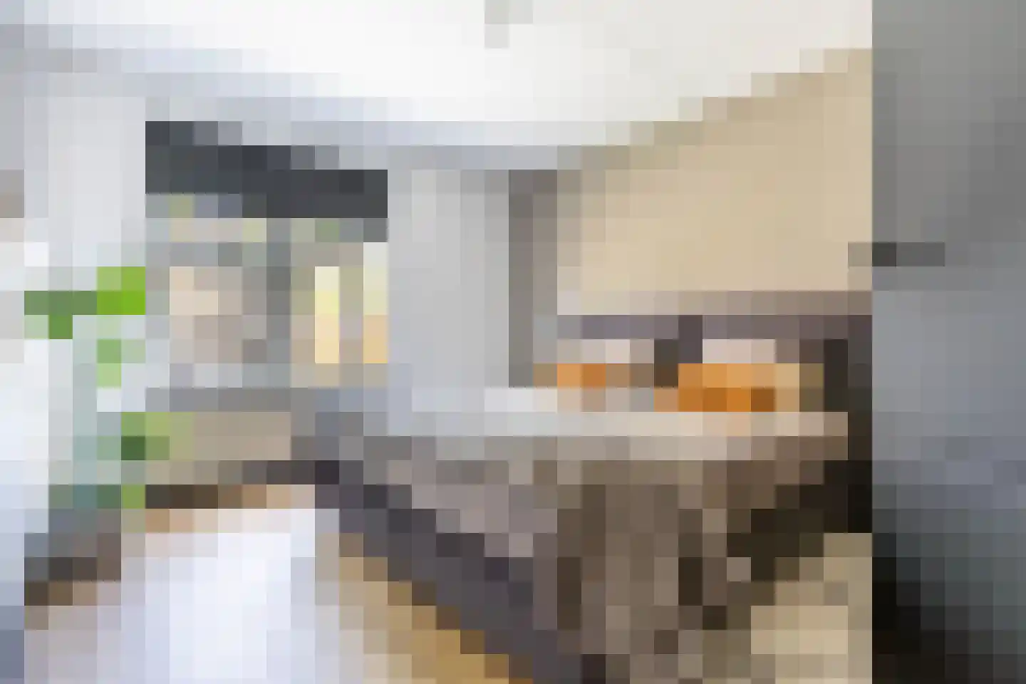 Broekstukken 51 Eelde thumbnail 27