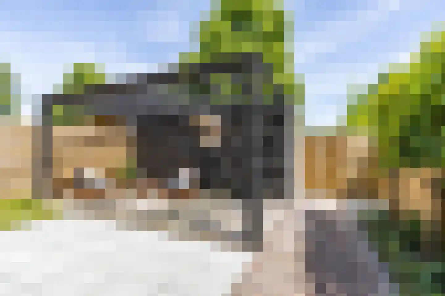 Broekstukken 51 Eelde thumbnail 41