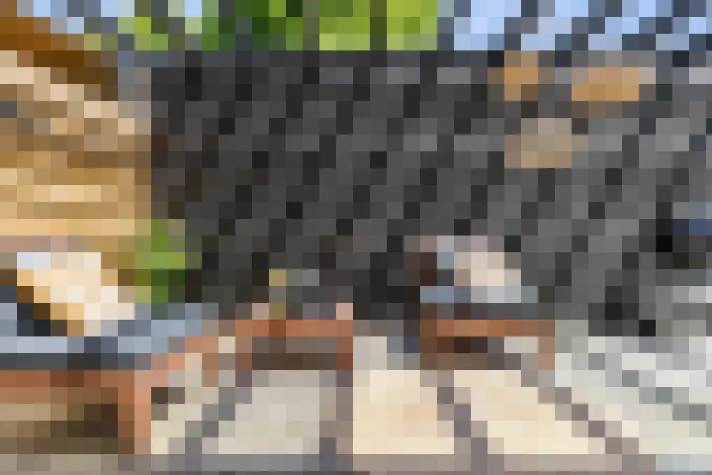 Broekstukken 51 Eelde thumbnail 47