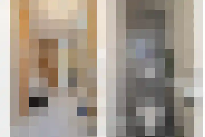 Broekstukken 65 Eelde thumbnail 18