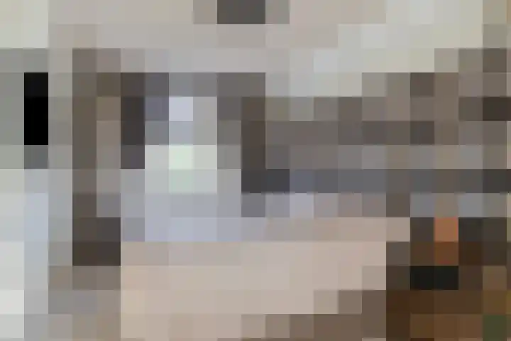 Broekstukken 65 Eelde thumbnail 20