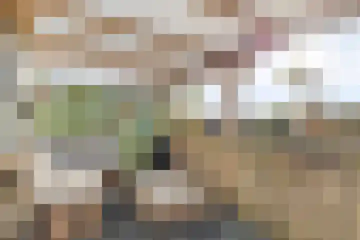 Broekstukken 65 Eelde thumbnail 25