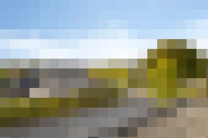 Broekstukken 65 Eelde thumbnail 26