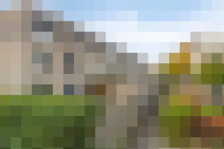 Broekstukken 65 Eelde thumbnail 27