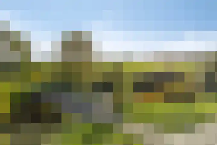 Broekstukken 65 Eelde thumbnail 30