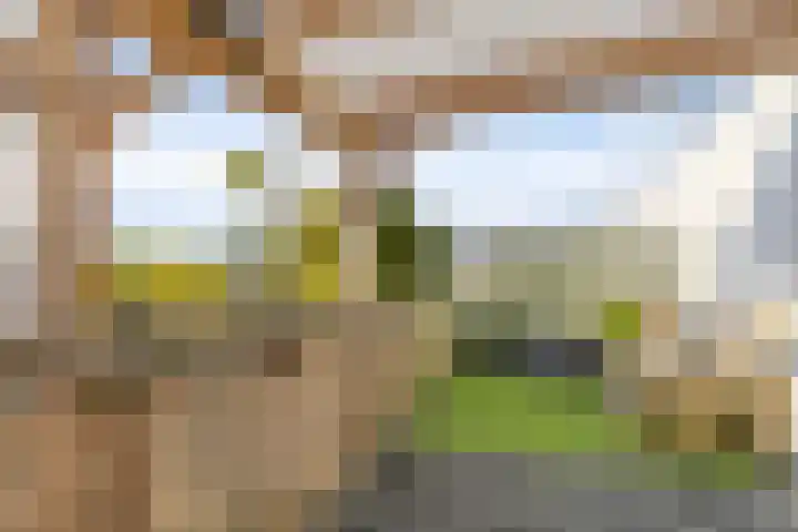 Broekstukken 65 Eelde thumbnail 4