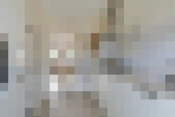 Broekstukken 65 Eelde thumbnail 9