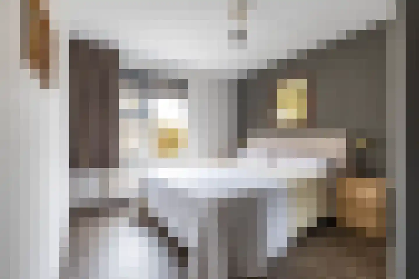 Broekstukken 67 Eelde thumbnail 18