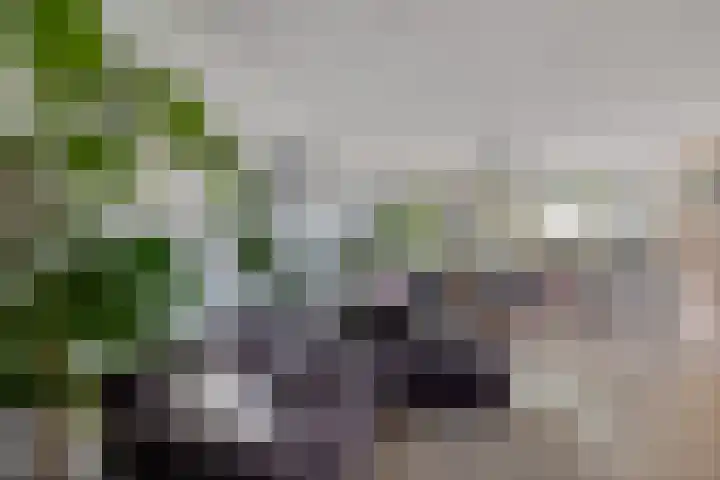 Broekstukken 83 Eelde thumbnail 12