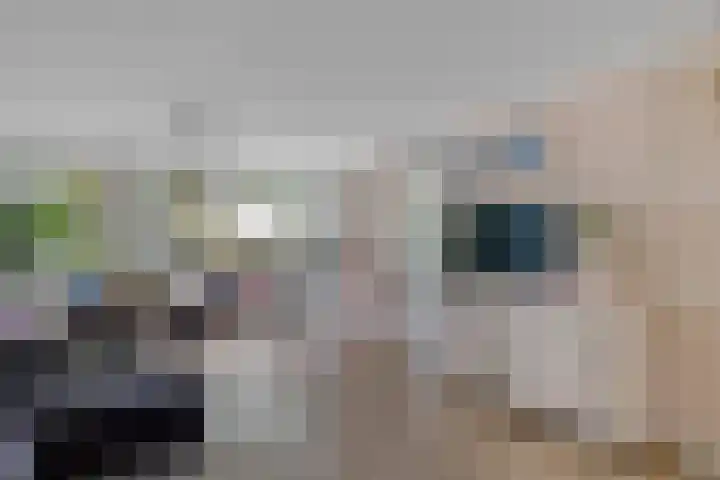 Broekstukken 83 Eelde thumbnail 13
