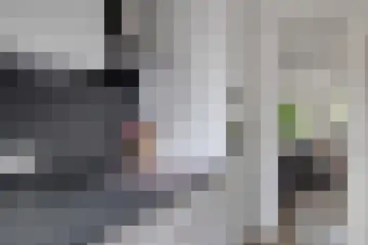 Broekstukken 83 Eelde thumbnail 15