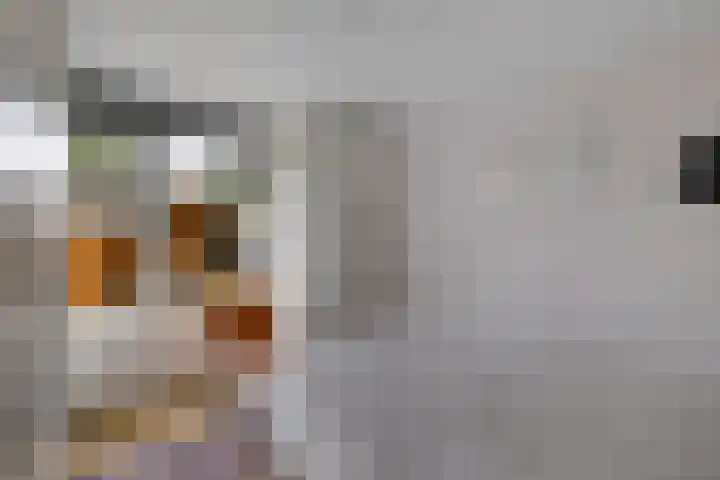 Broekstukken 83 Eelde thumbnail 20