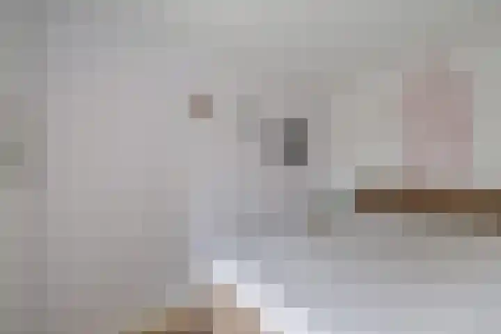 Broekstukken 83 Eelde thumbnail 21