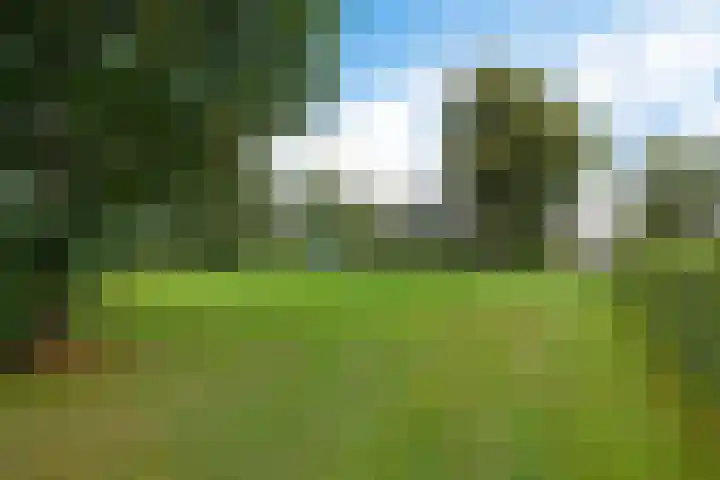Broekstukken 83 Eelde thumbnail 27