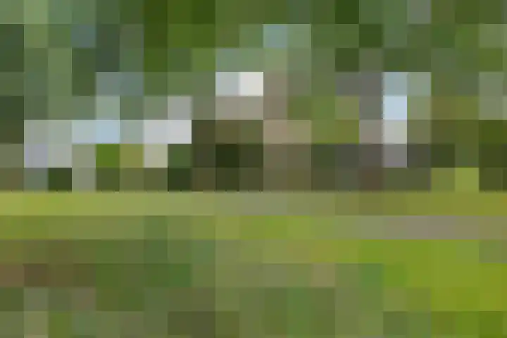 Broekstukken 83 Eelde thumbnail 30