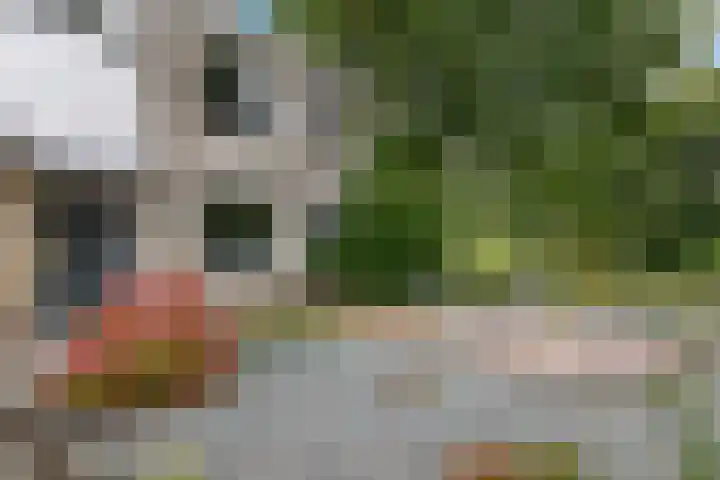 Broekstukken 83 Eelde thumbnail 4
