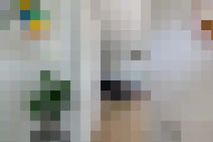 Broekstukken 83 Eelde thumbnail 7