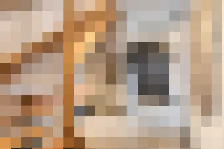 Broekveeweg 35 Herten thumbnail 25