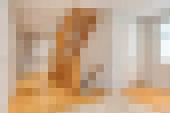 Broekveeweg 35 Herten thumbnail 28