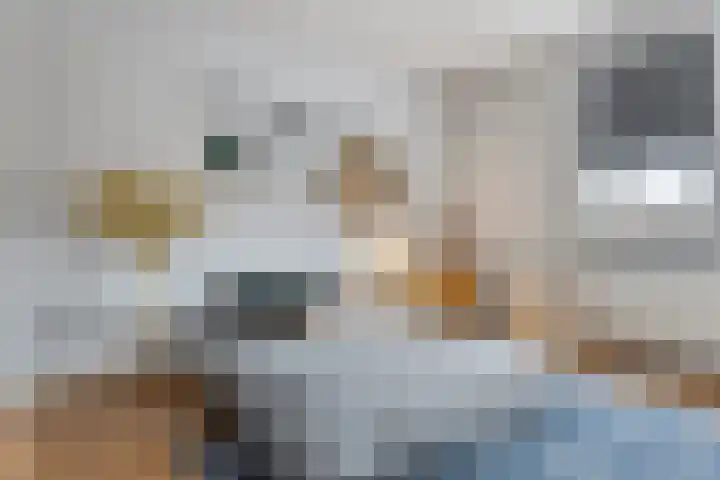 Broekveeweg 35 Herten thumbnail 38