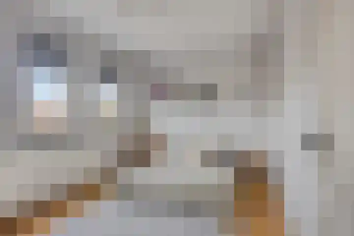 Broekveeweg 35 Herten thumbnail 40
