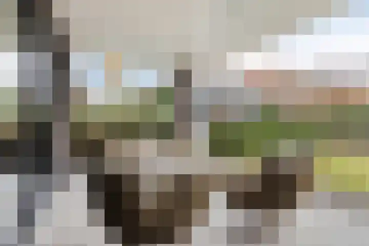 Broekveeweg 35 Herten thumbnail 48