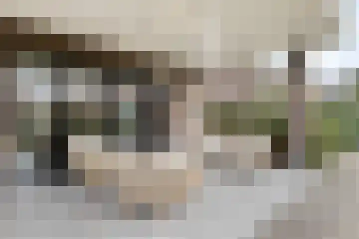 Broekveeweg 35 Herten thumbnail 49