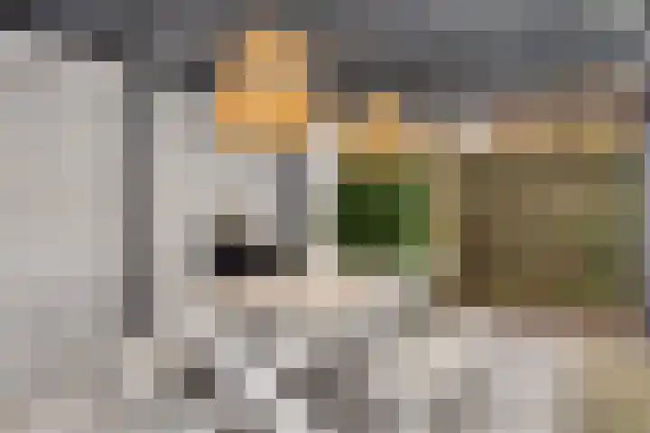 Broekveeweg 35 Herten thumbnail 50